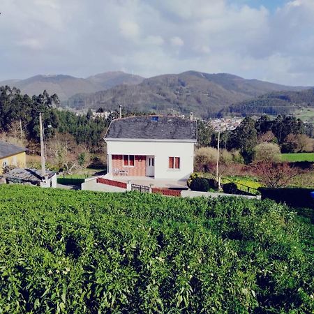 Casa familiar con finca privada  Viveiro Esterno foto