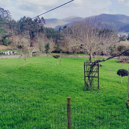 Casa familiar con finca privada  Viveiro Esterno foto