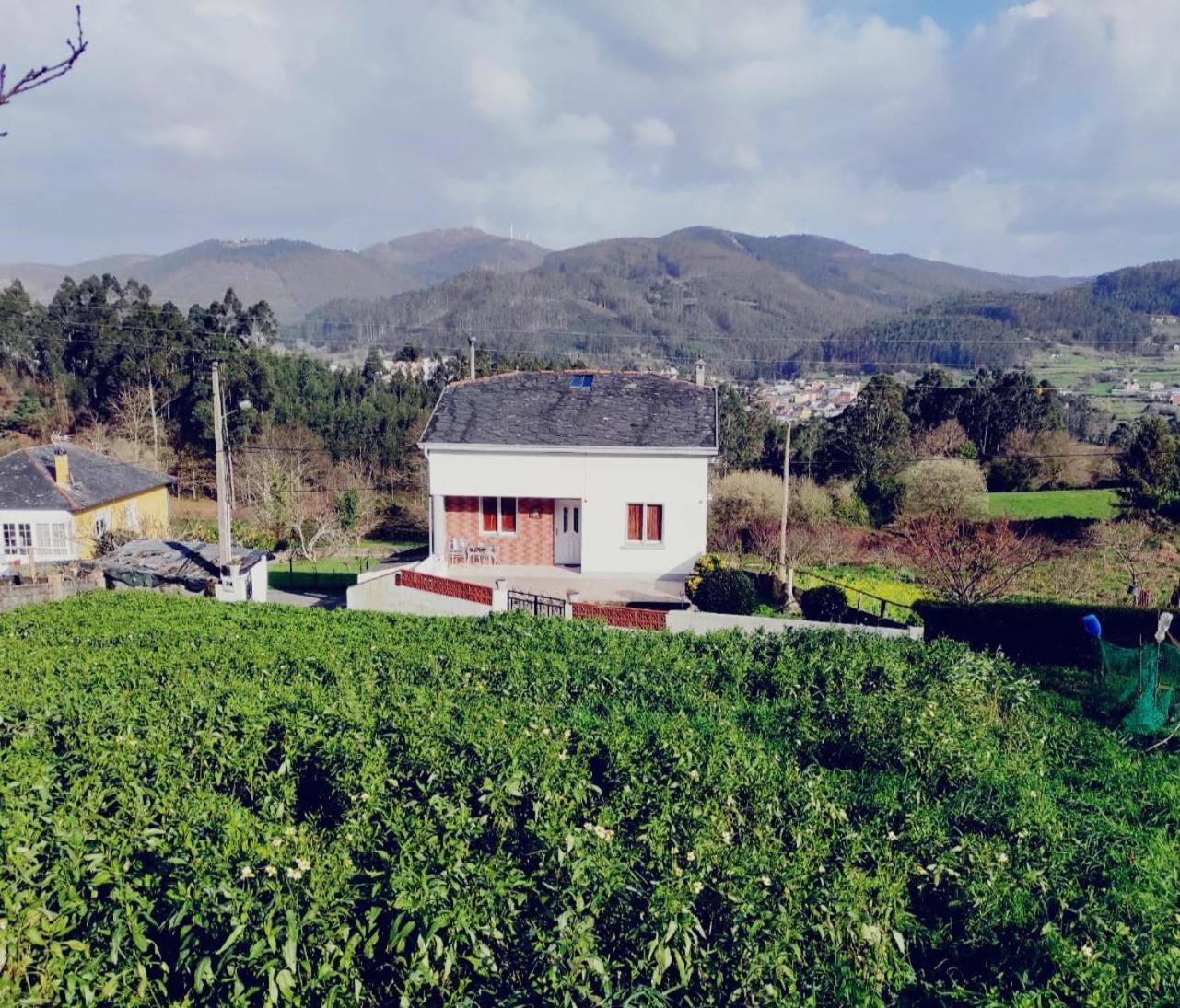 Casa familiar con finca privada  Viveiro Esterno foto